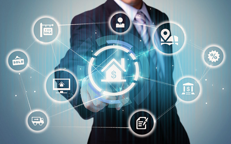 Market Entry & Project Feasibility Studies